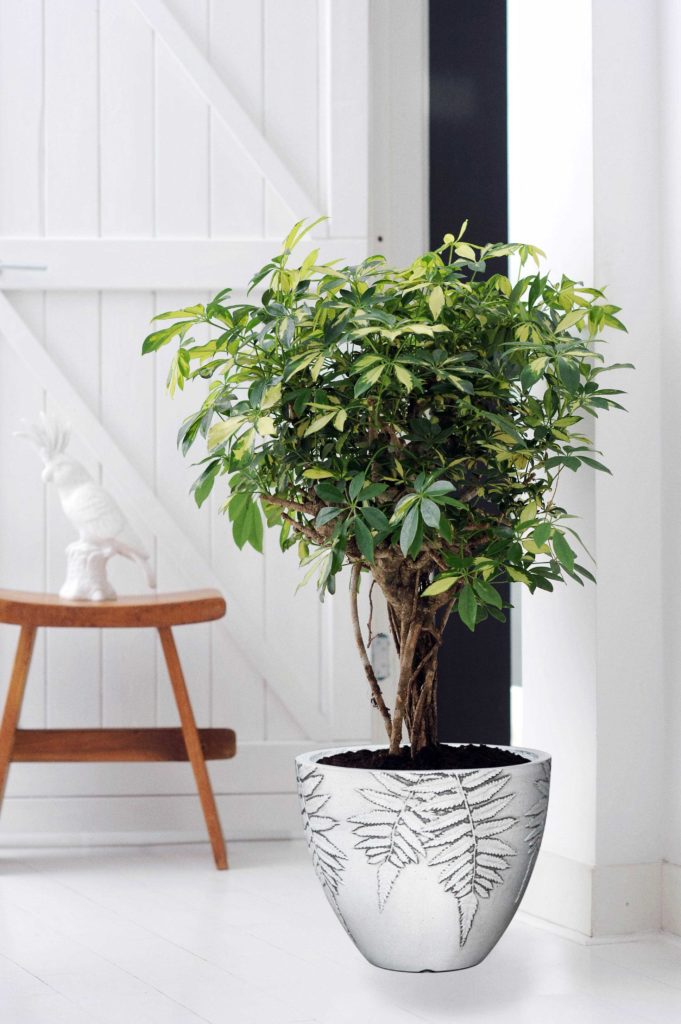 Vio ronde witte bloempot met een varen plant motief