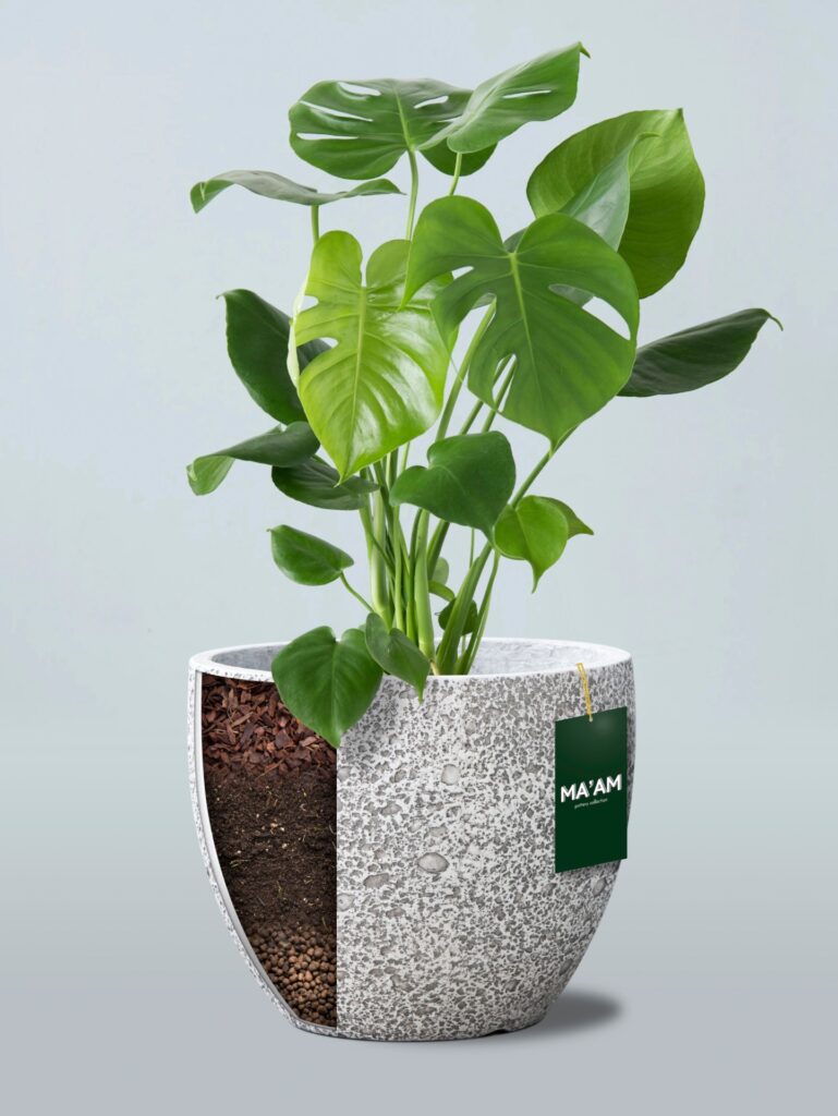 Hoe vul ik bloempot met hydrokorrels en potgrond