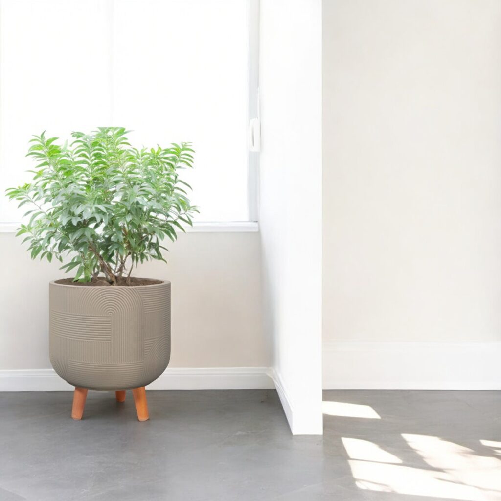 Bloempot Dijon - bloempot op poten Japandi - musthave - sfeer - donkerbeige